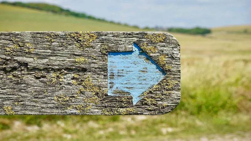 Les 3 erreurs fatales que j'ai vues sur le terrain