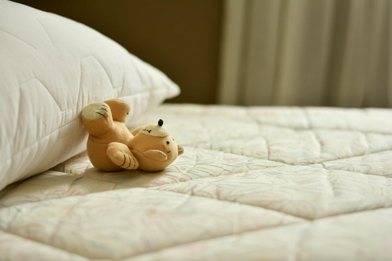Découvrez le matelas chauffant industriel révolutionnaire pour 2026